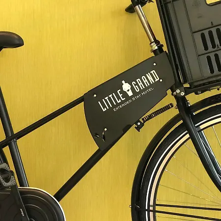 リトル グランド * アイントホーフェン